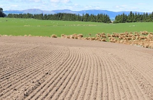 image of paddock prepared for sowing