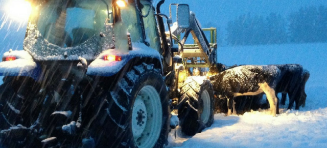 Tractor in snow Tractor in snow