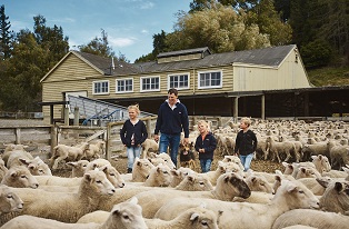 image of father and kids in sheep yard