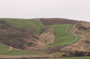 image of winter pasture