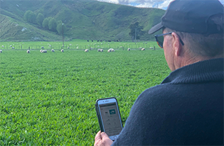 image of man using breeding calculator on phone