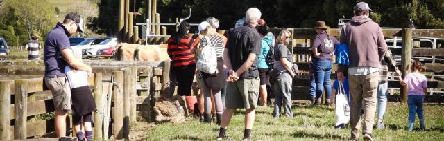 image of open farm day 2024