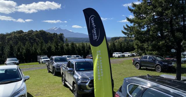 image of B+LNZ flag at field day