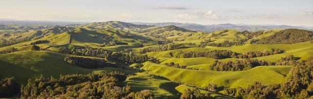 rolling hills new zealand grasslands and rolling hills - sustainable agriculture